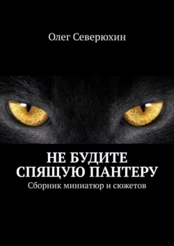 Не будите спящую пантеру. Сборник миниатюр и сюжетов Олег Северюхин