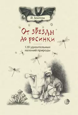 От звезды до росинки. 120 удивительных явлений природы, Йенс Зентген