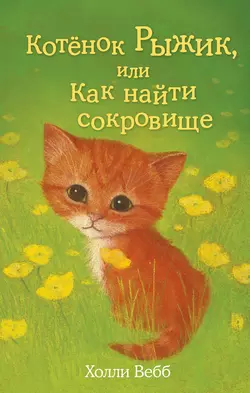 Котёнок Рыжик, или Как найти сокровище, Холли Вебб