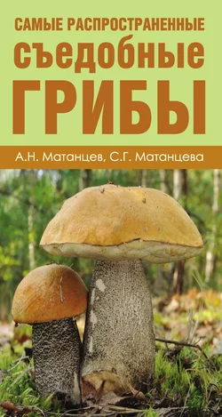 Самые распространенные съедобные грибы Александр Матанцев и Светлана Матанцева