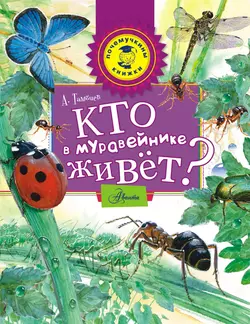 Кто в муравейнике живёт? Александр Тамбиев