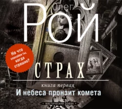 Страх. Книга 1. И небеса пронзит комета, Олег Рой