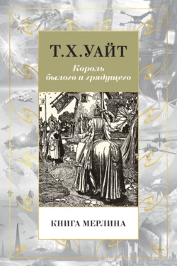 Книга Мерлина Теренс Хэнбери Уайт