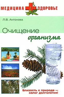 Очищение организма, Елена Бойко