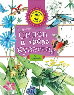 Сидел в траве кузнечик, Юрий Аракчеев