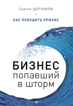 Бизнес, попавший в шторм. Как победить кризис, Сергей Щербаков