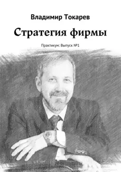 Стратегия фирмы. Практикум: Выпуск №1, Владимир Токарев