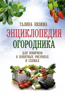 Энциклопедия огородника для новичков в понятных рисунках и схемах. Увидел – повтори, Галина Кизима