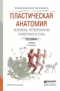 Пластическая анатомия человека, четвероногих животных и птиц 3-е изд., испр. и доп. Учебник для СПО, Михаил Рабинович