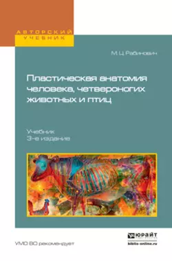 Пластическая анатомия человека, четвероногих животных и птиц 3-е изд., испр. и доп. Учебник для вузов, Михаил Рабинович