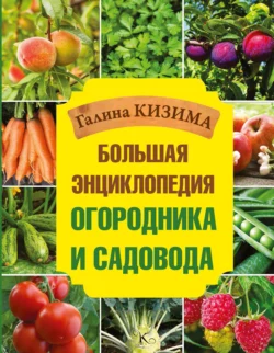 Большая энциклопедия огородника и садовода Галина Кизима