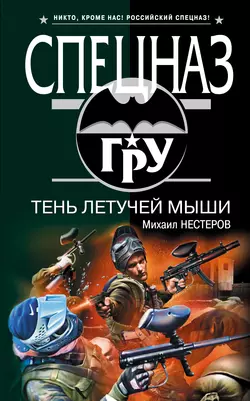 Тень летучей мыши, Михаил Нестеров