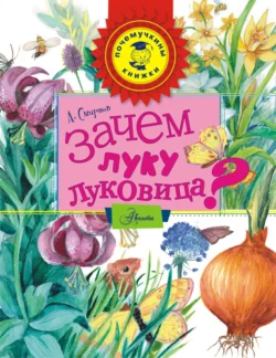 Зачем луку луковица?, Алексей Смирнов