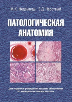 Патологическая анатомия, Михаил Недзьведь