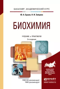 Биохимия 2-е изд., испр. и доп. Учебник и практикум для академического бакалавриата, Юрий Ершов