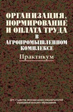 Организация  нормирование и оплата труда в агропромышленном комплексе. Практикум Коллектив авторов