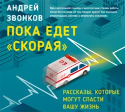 Пока едет «Скорая». Рассказы, которые могут спасти вашу жизнь, Андрей Звонков