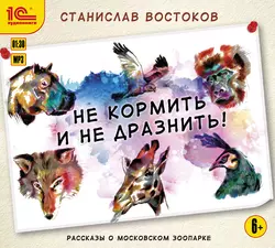 Не кормить и не дразнить!, Станислав Востоков