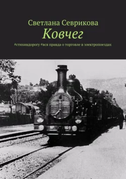 Ковчег. #стихивдорогу #вся правда о торговле в электропоездах, Светлана Севрикова