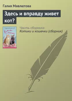 Здесь и вправду живет кот? Галия Мавлютова