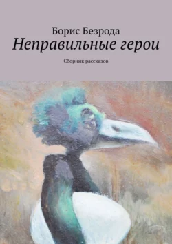 Неправильные герои. Сборник рассказов, Борис Безрода