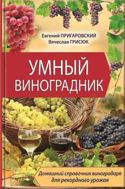 Умный виноградник, Евгений Пригаровский