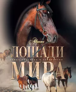 Лошади мира, Карина Кищук