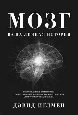 Мозг: Ваша личная история, Дэвид Иглмен