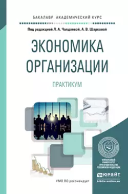 Экономика организации. Практикум. Учебное пособие для академического бакалавриата, Лариса Чалдаева