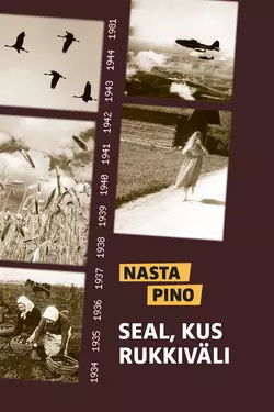 Seal  kus rukkiväli Nasta Pino