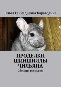 Проделки шиншиллы Чильяна. Сборник рассказов, Ольга Карагодина