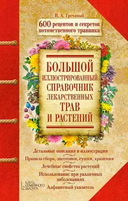 Большой иллюстрированный справочник лекарственных трав и растений. 600 рецептов и секретов потомственного травника, Игорь Гречаный