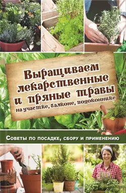 Выращиваем лекарственные и пряные травы на участке  балконе  подоконнике. Советы по посадке  сбору и применению Наталья Костина-Кассанелли