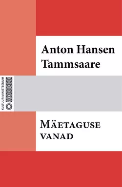 Mäetaguse vanad, Anton Hansen Tammsaare