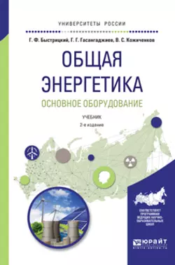 Общая энергетика. Основное оборудование 2-е изд., испр. и доп. Учебник для академического бакалавриата, Геннадий Быстрицкий