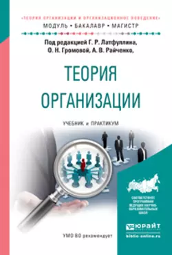 Теория организации. Учебник и практикум для бакалавриата и магистратуры, Александр Райченко