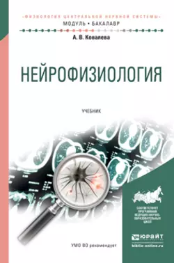 Нейрофизиология. Учебник для академического бакалавриата, Анастасия Ковалева