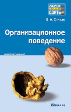 Организационное поведение. Конспект лекций, Владимир Спивак