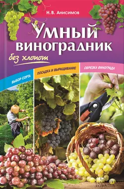 Умный виноградник без хлопот, Николай Анисимов