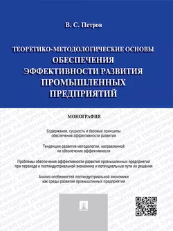 Теоретико-методологические основы обеспечения эффективности развития промышленных предприятий. Монография, Валерий Петров