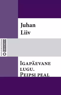 Igapäevane lugu, Juhan Liiv