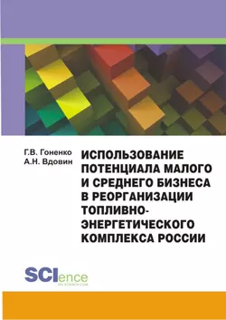 Использование потенциала малого и среднего бизнеса в реорганизации топливно-энергетического комплекса России. Монография Алексей Вдовин и Даниил Гоненко