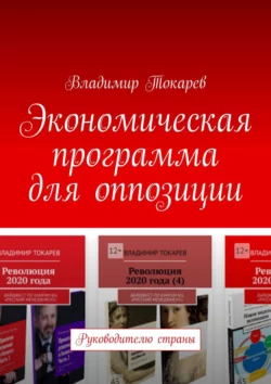 Экономическая программа для оппозиции. Руководителю страны, Владимир Токарев