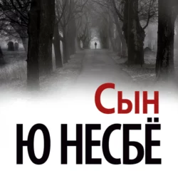 Сын, Ю Несбё