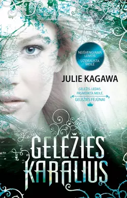 Geležies karalius Julie Kagawa