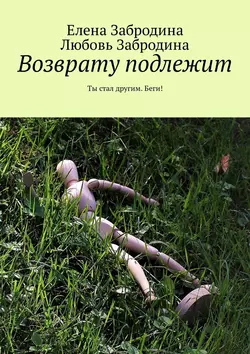 Возврату подлежит. Ты стал другим. Беги!, Елена Забродина