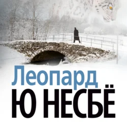 Леопард, Ю Несбё