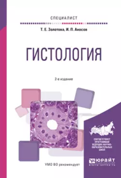 Гистология 2-е изд., испр. и доп. Учебное пособие для вузов, Татьяна Золотова