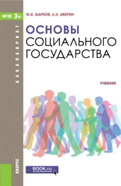 Основы социального государства. (Бакалавриат). Учебник., Александр Аверин