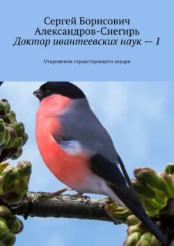 Доктор ивантеевских наук – 1. Откровения странствующего лекаря, Сергей Александров-Снегирь